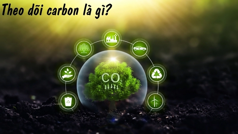 Theo dõi carbon là gì?