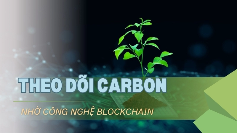  Theo dõi carbon trong chuỗi cung ứng nhờ công nghệ blockchain