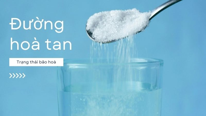 Thí nghiệm đường cho thấy hòa tan và trạng thái bão hòa