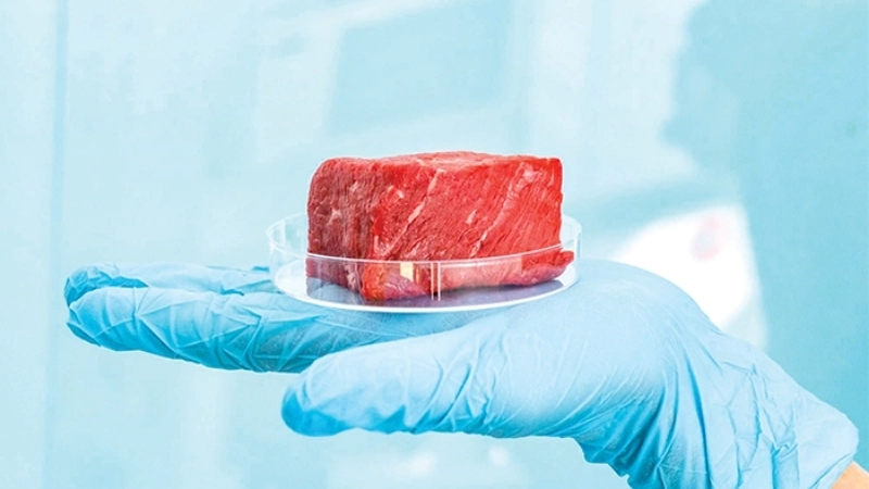 Ứng dụng thịt nhân tạo trong tất cả lĩnh vực