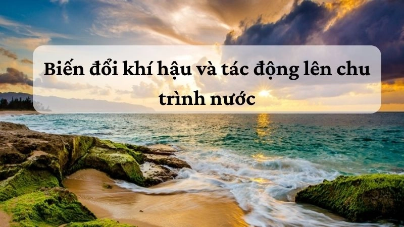 Biến đổi khí hậu và tác động lên chu trình nước
