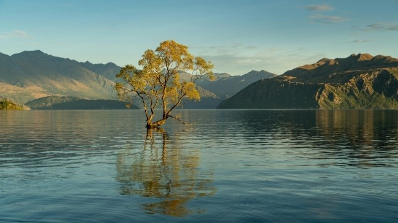 Ô nhiễm nước và sự biến động thủy quyển