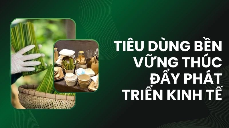 Tiêu dùng bền vững thúc đẩy phát triển kinh tế