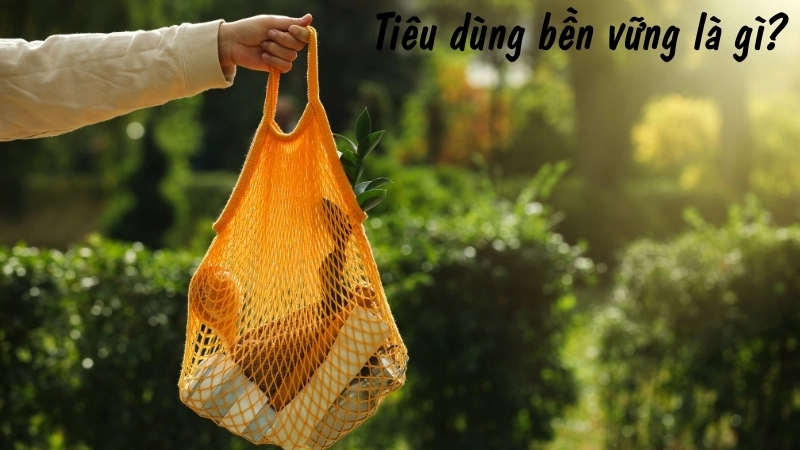 Tiêu dùng bền vững là gì? 