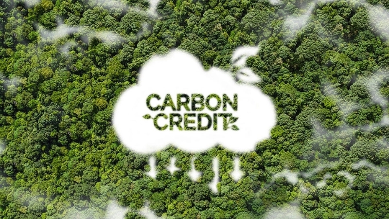 Tín chỉ carbon là công cụ giảm phát thải khí nhà kính