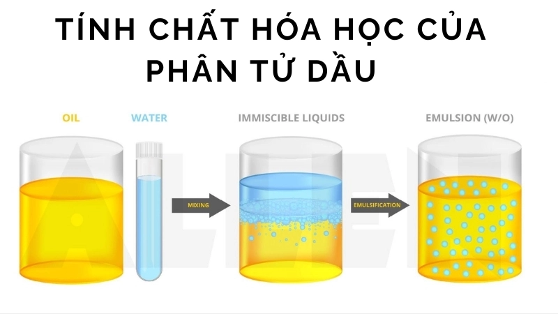  Tính chất hóa học của phân tử dầu và nước không hòa tan
