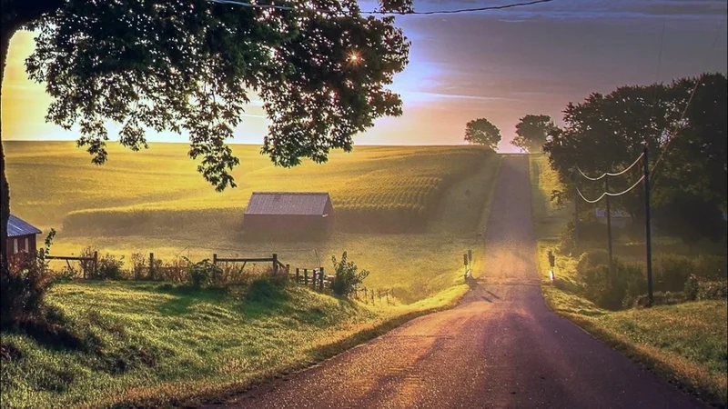 Tận hưởng vẻ yên bình với tranh dán tường cảnh đồng quê