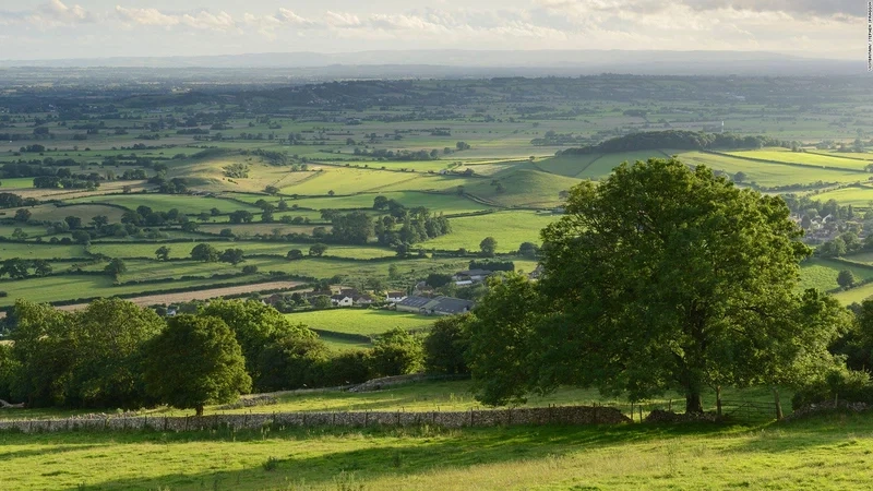 Trang trí ngôi nhà tinh tế với tranh dán tường đồng quê