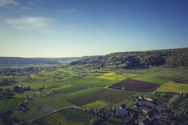 Gợi nhớ miền quê thanh bình bằng tranh dán tường cảnh làng quê