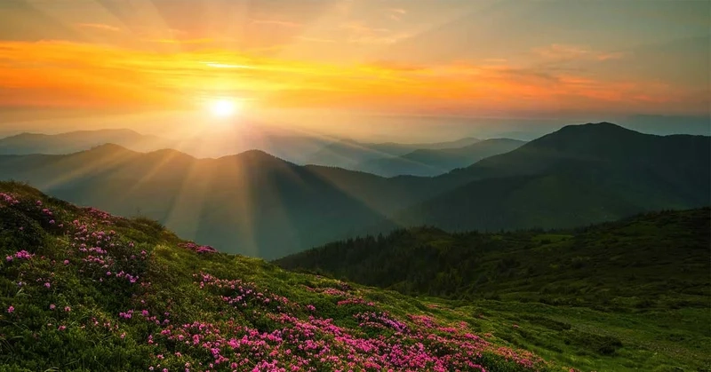 Thưởng thức ánh nắng đầu ngày qua tranh phong cảnh bình minh