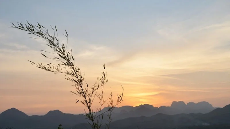 Mang cảnh biển rực rỡ vào tranh qua tranh vẽ bình minh trên biển