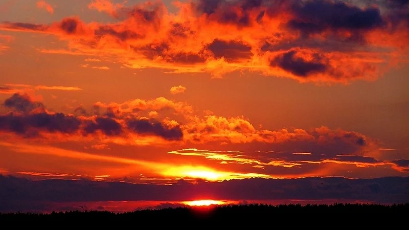 Bắt đầu ngày mới bằng vẽ tranh cảnh bình minh