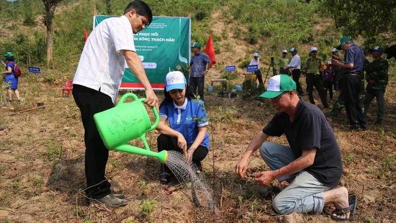 Các hình thức và ý nghĩa trồng rừng