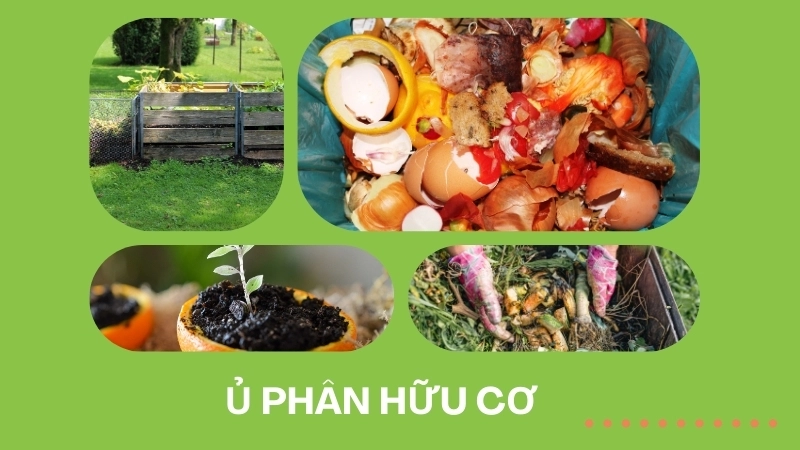Ủ phân hữu cơ là phương pháp đơn giản để tái chế chất thải thực phẩm