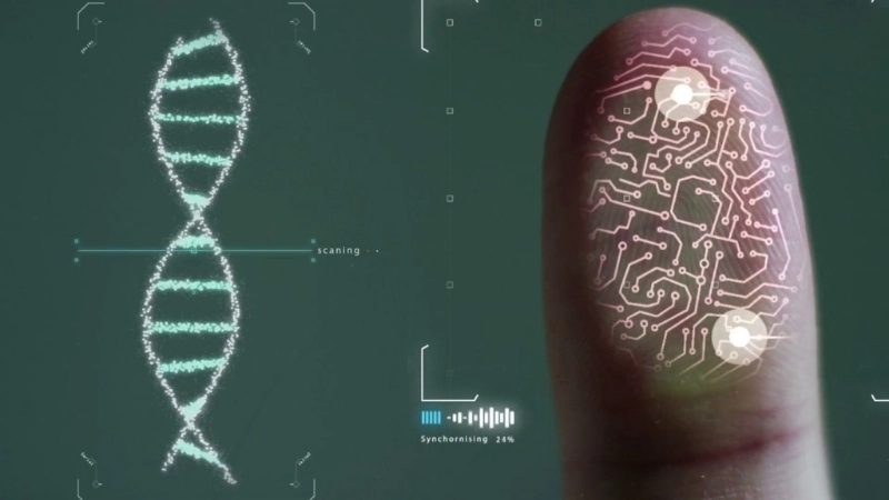  Vân tay là công cụ nhận diện sinh trắc học chính xác và phổ biến