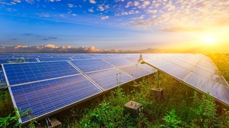 Tế bào quang điện