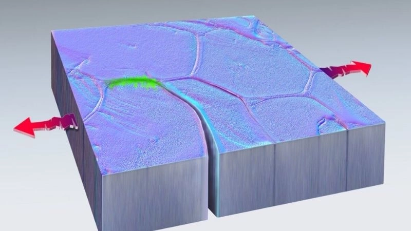 Polyme tự phục hồi