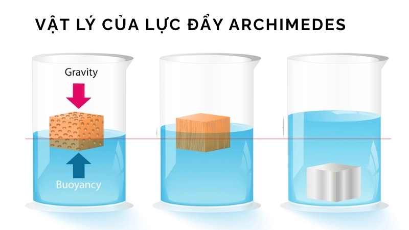  Vật lý của lực đẩy Archimedes khiến dầu nổi trên nước
