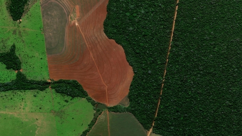  Vệ tinh giám sát nạn phá rừng, một nguồn phát thải carbon lớn