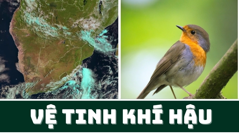  Vệ tinh khí hậu cung cấp dữ liệu giám sát khí hậu toàn cầu