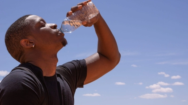 Vùng dưới đồi trong não bộ, trung tâm điều khiển cân bằng nước và tạo ra cảm giác khát