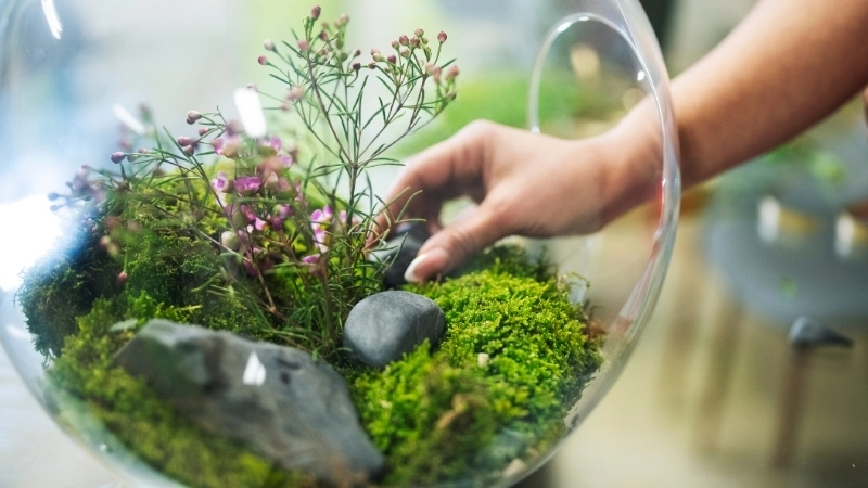 Những yếu tố ảnh hưởng đến vùng sinh sống của sinh vật