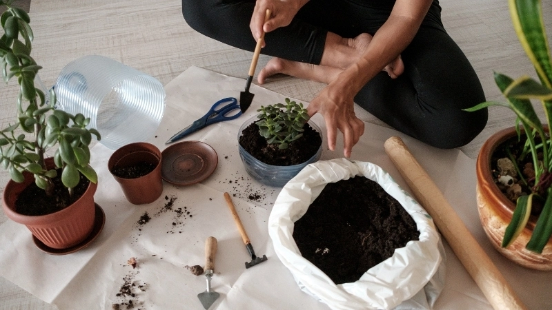 Xây dựng một tương lai bền vững thông qua lối sống xanh