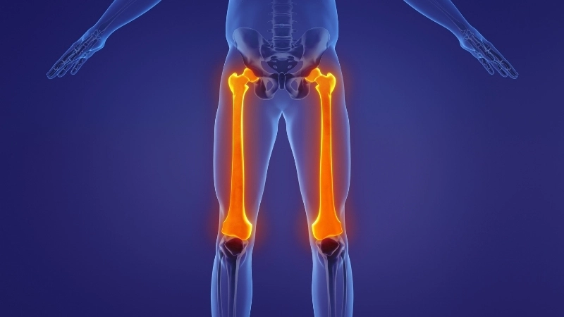  Xương giúp đảm bảo khoáng chất luôn sẵn có cho các hoạt động sống