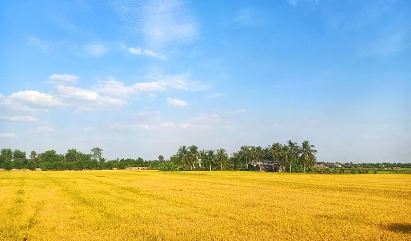 Lưu giữ quê hương qua ảnh chụp phong cảnh quê hương