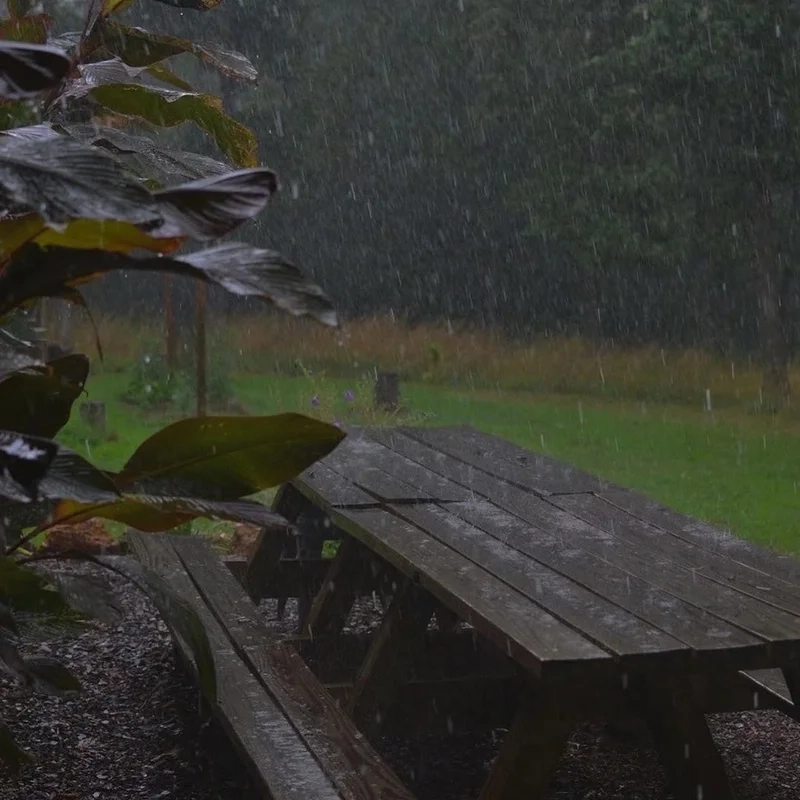 Cảm nhận nỗi buồn trong ảnh phong cảnh buồn