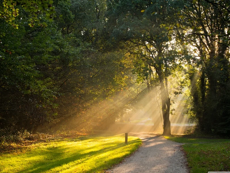 Làm mới không gian với hình nền phong cảnh buồn đẹp