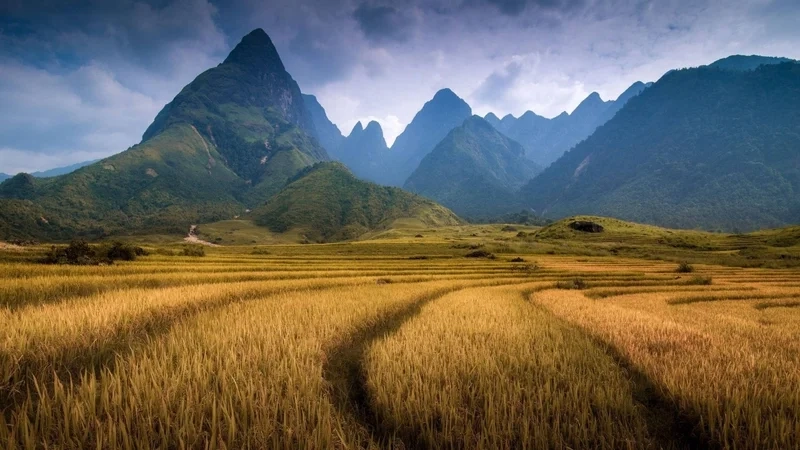 Thư giãn cùng thiên nhiên qua ảnh phong cảnh đẹp thiên nhiên