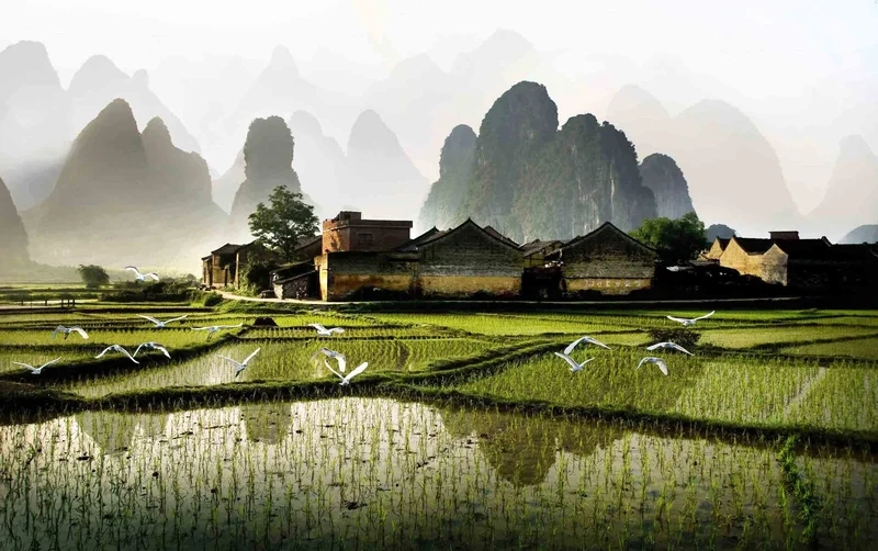 Trang trí màn hình với hình nền phong cảnh đẹp full hd tuyệt đẹp