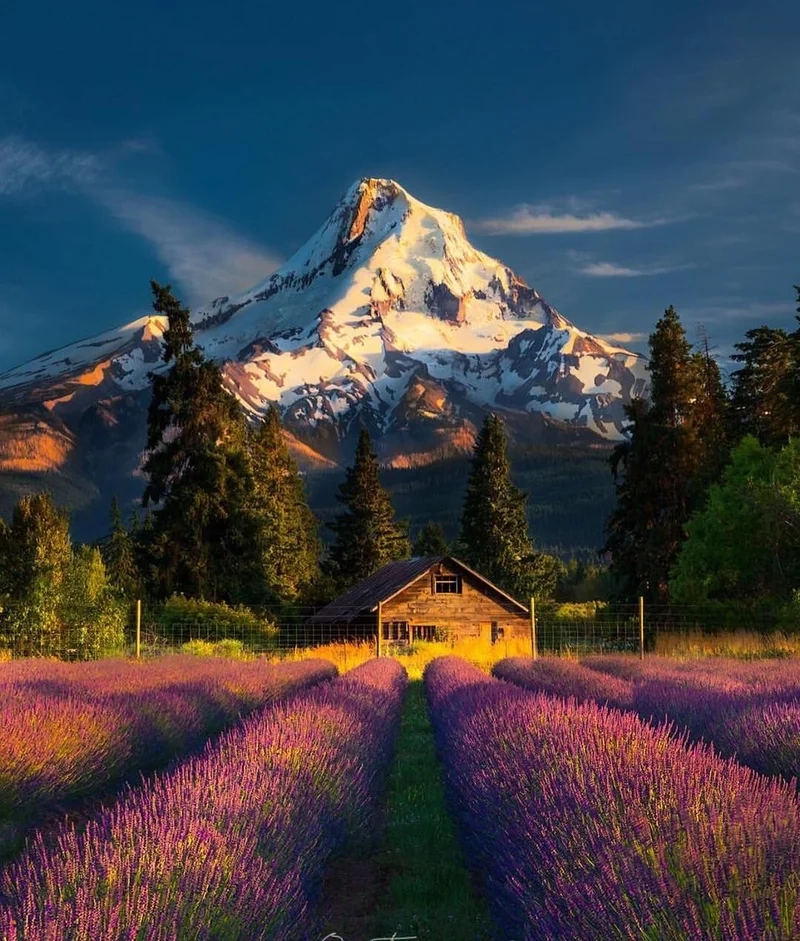 Thực tế hơn bao giờ hết với ảnh phong cảnh đẹp ngoài đời