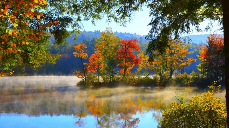 Khám phá những hình ảnh tuyệt vời với ảnh phong cảnh đẹp pinterest