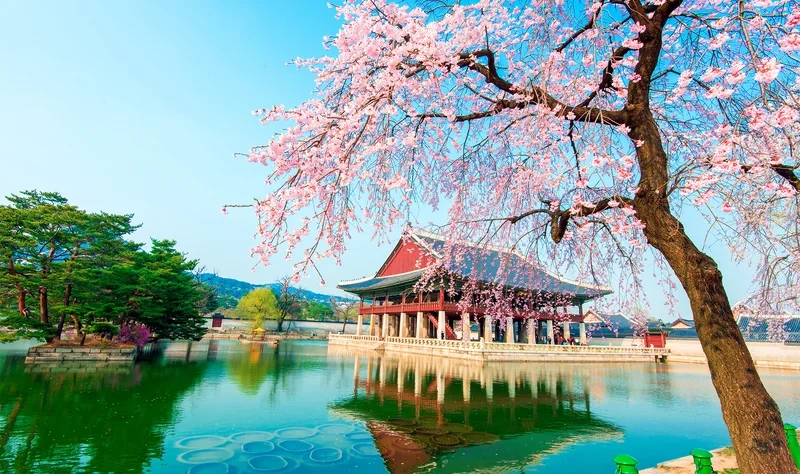 Chiêm ngưỡng khung cảnh tuyệt vời trong hình ảnh phong cảnh hàn quốc