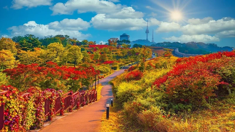 Thưởng ngoạn thiên nhiên rực rỡ qua ảnh phong cảnh đẹp hàn quốc