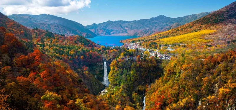 Trải nghiệm không gian mộng mơ với hình ảnh phong cảnh nhật bản