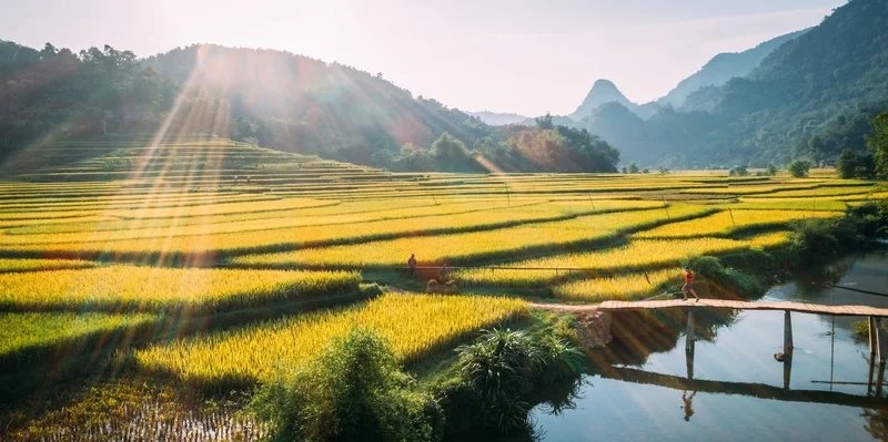 Khám phá muôn màu thiên nhiên qua ảnh phong cảnh đẹp ở việt nam