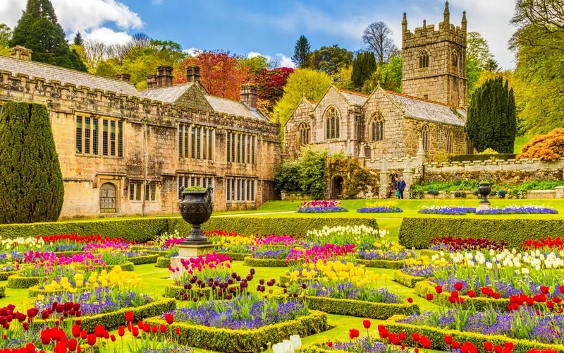 Ghi lại sắc màu mùa hoa cùng ảnh phong cảnh hoa đẹp