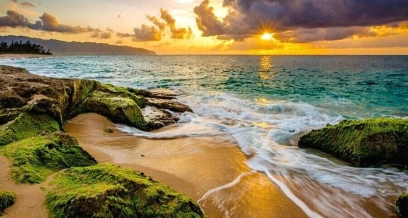 Tìm hiểu giới thiệu sơ lược về Bãi biển Hàm Rồng