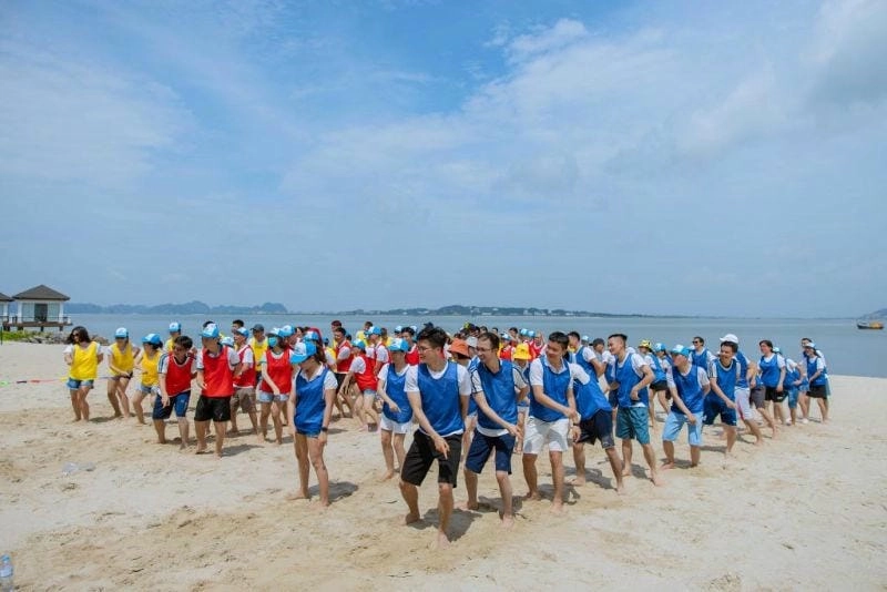 Vẻ đẹp của bãi cát marina