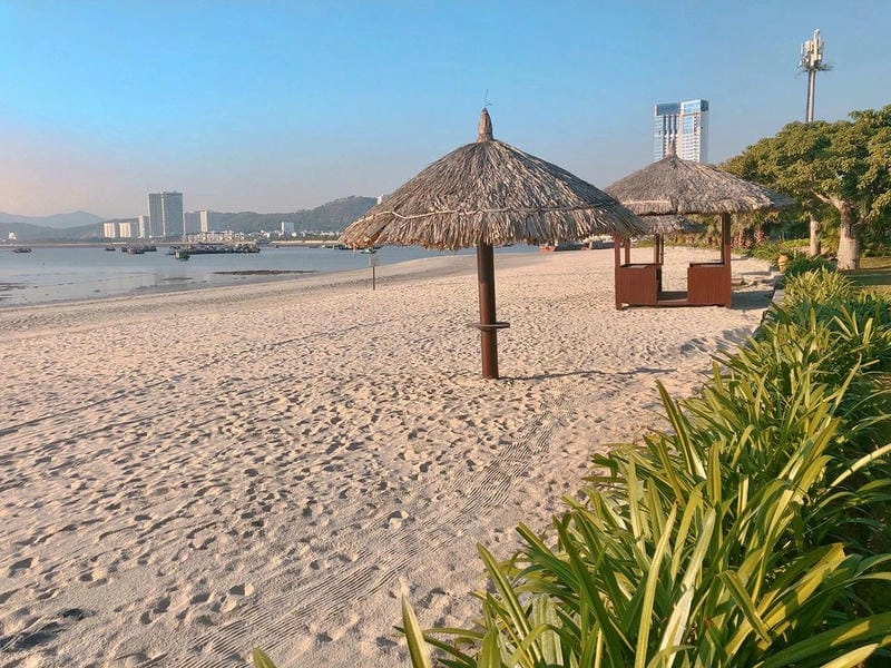 Hướng dẫn khám phá marina