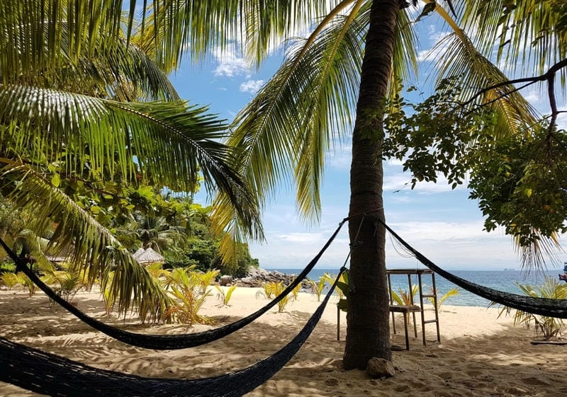 Đọc review Bãi Chồng chi tiết