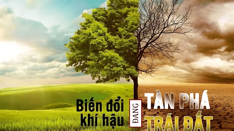 Tiềm năng phát triển của giải pháp chống biến đổi khí hậu