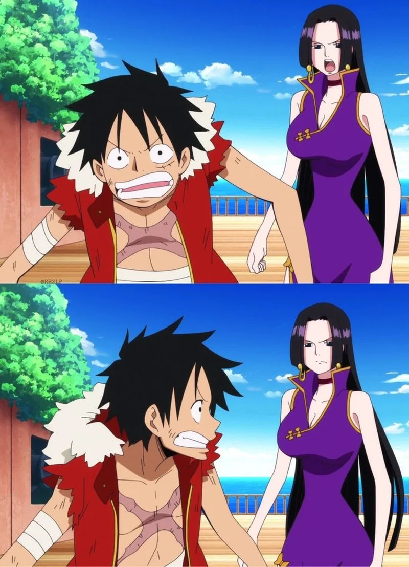 Đồng đội mạnh mẽ luffy và boa hancock