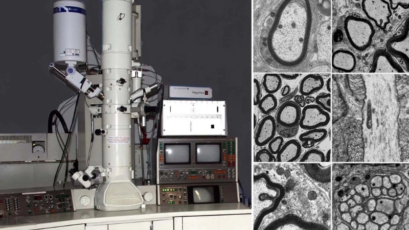  Cấu trúc của vật liệu thông minh tự biến đổi dưới kính hiển vi