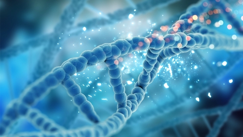 Ứng dụng chỉnh sửa gen trong thực tiễn