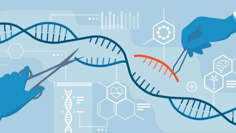 Tiềm năng phát triển của chỉnh sửa gen