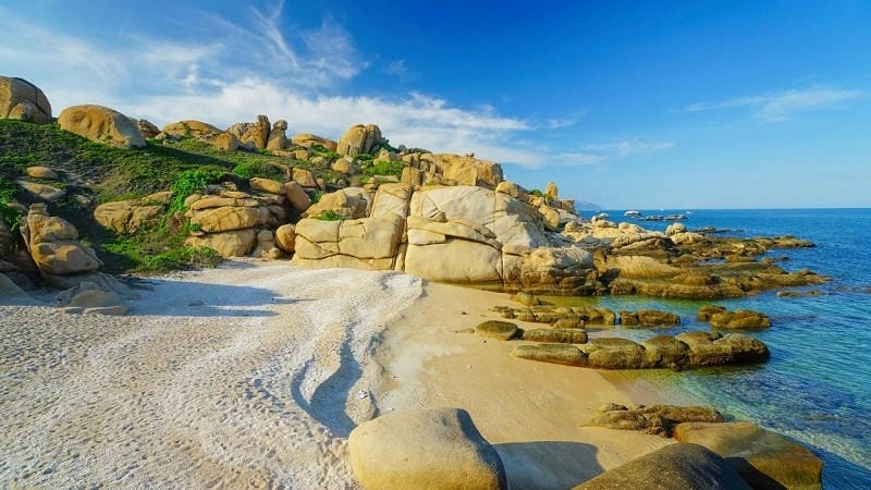 Gợi ý nghỉ dưỡng Cù Lao Câu